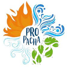 Propacha Logo